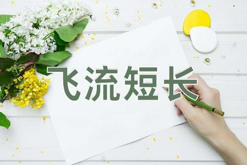 成语飞流短长