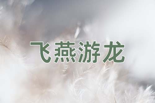 成语飞燕游龙