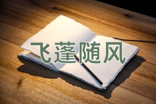 成语飞蓬随风