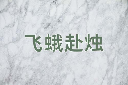 成语飞蛾赴烛