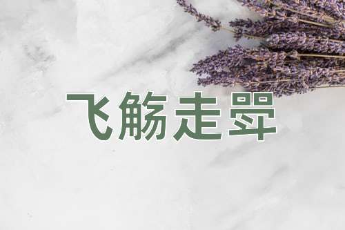 成语飞觞走斝