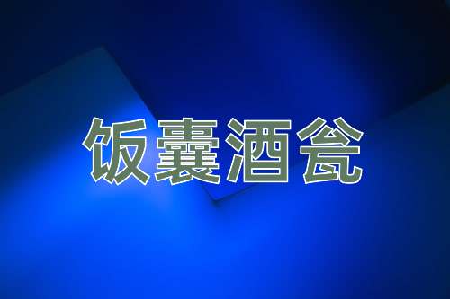 成语饭囊酒瓮