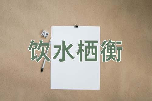 成语饮水栖衡