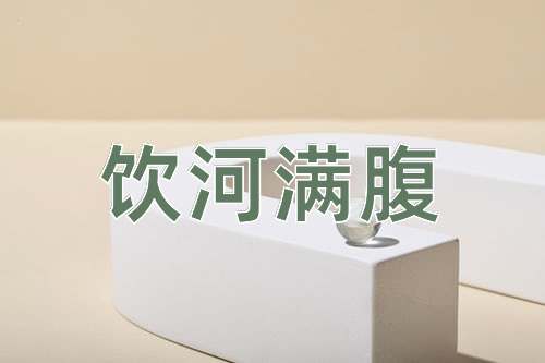 成语饮河满腹