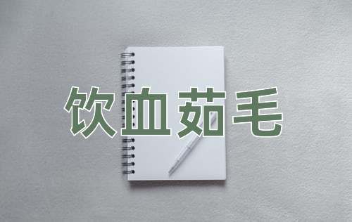 成语饮血茹毛