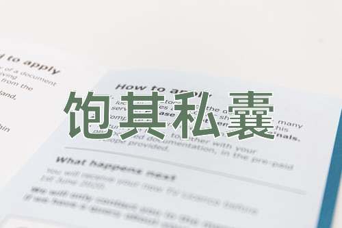 成语饱其私囊