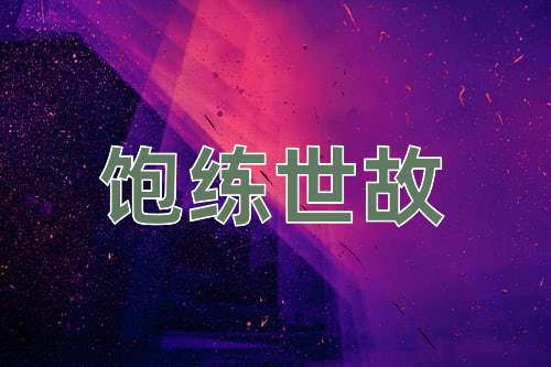 成语饱练世故