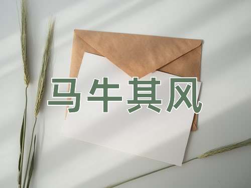 成语马牛其风