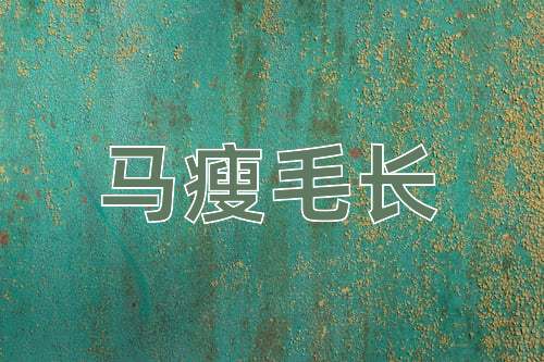 成语马瘦毛长