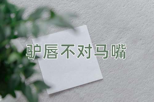 成语驴唇不对马嘴