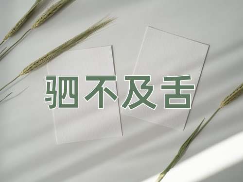 成语驷不及舌