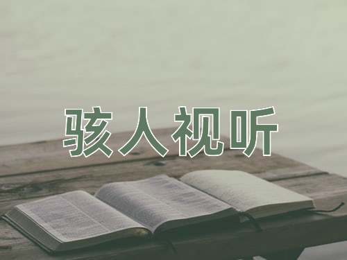 成语骇人视听
