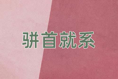 成语骈首就系