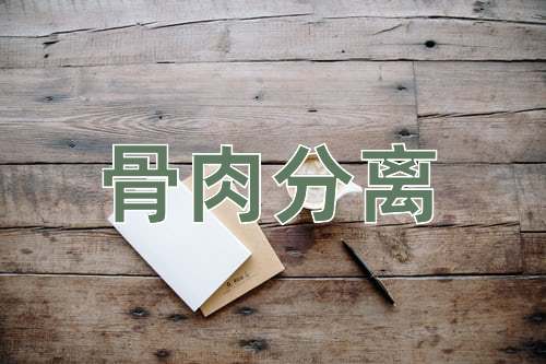 成语骨肉分离