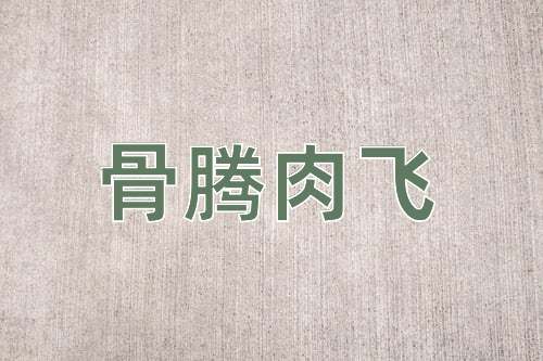 成语骨腾肉飞