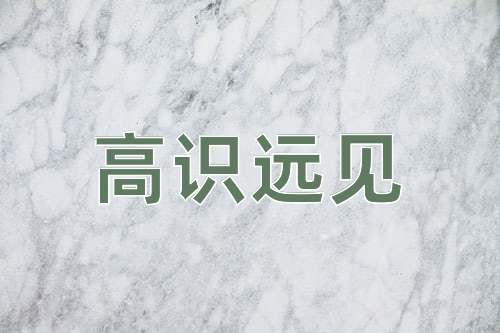 成语高识远见