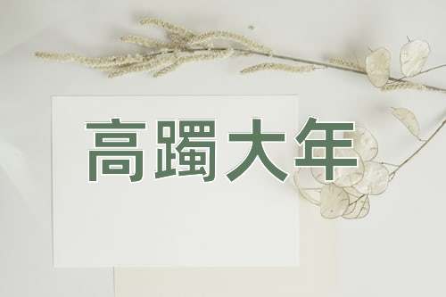 成语高躅大年