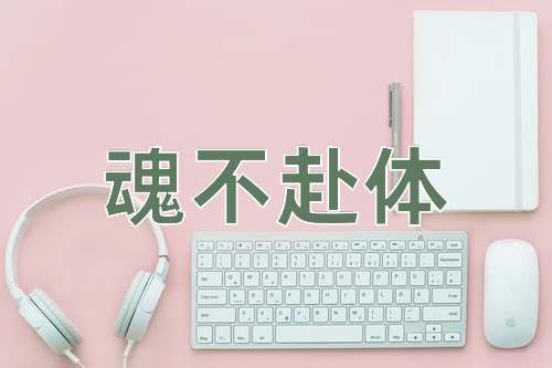 成语魂不赴体