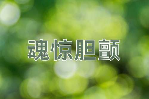 成语魂惊胆颤