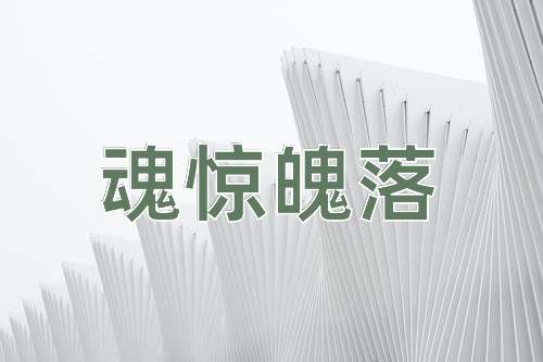 成语魂惊魄落