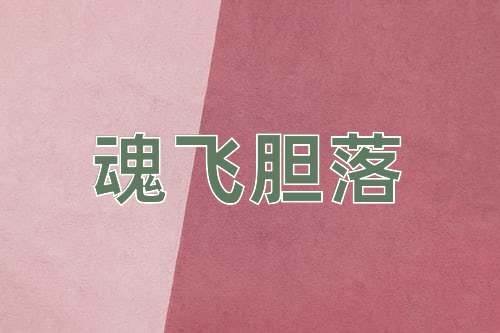 成语魂飞胆落