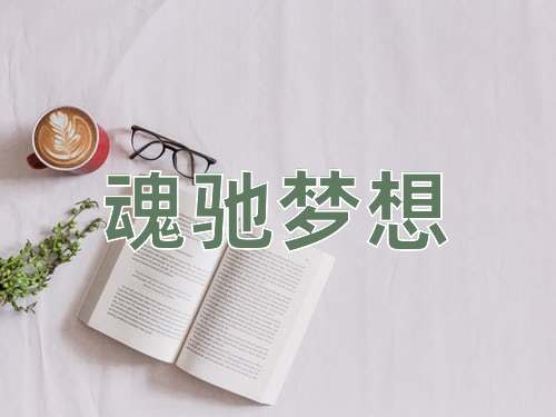 成语魂驰梦想
