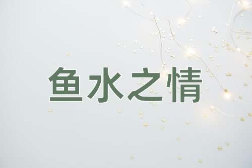 成语鱼水之情