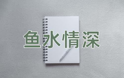 成语鱼水情深