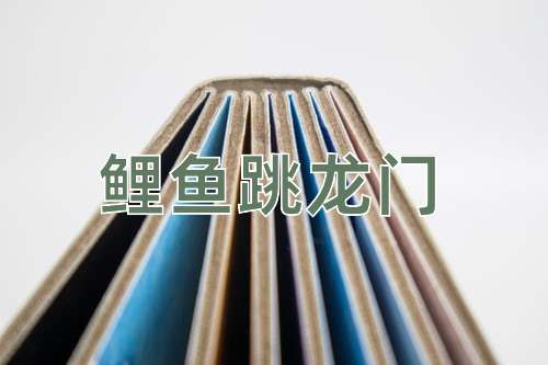 成语鲤鱼跳龙门