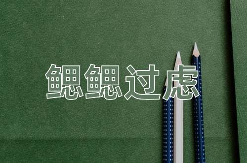成语鳃鳃过虑
