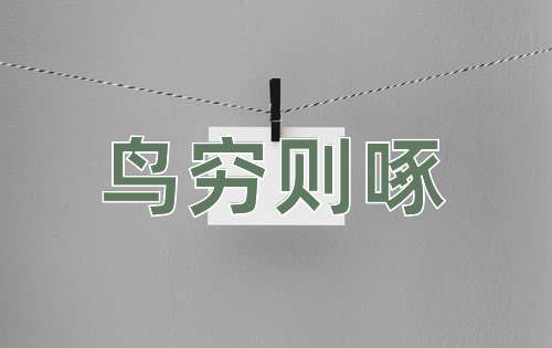成语鸟穷则啄