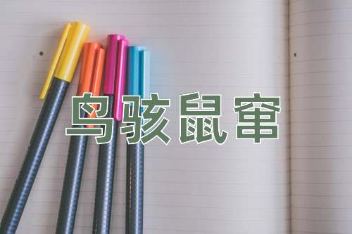 成语鸟骇鼠窜