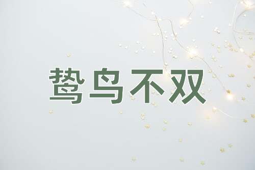 成语鸷鸟不双
