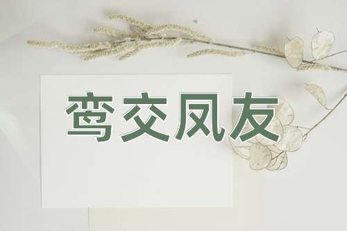 成语鸾交凤友