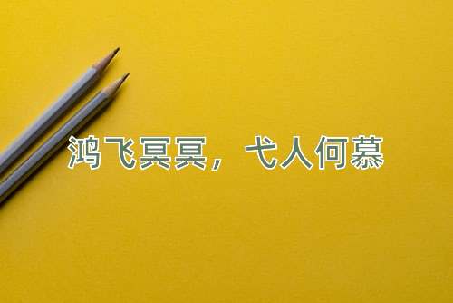 成语鸿飞冥冥，弋人何慕