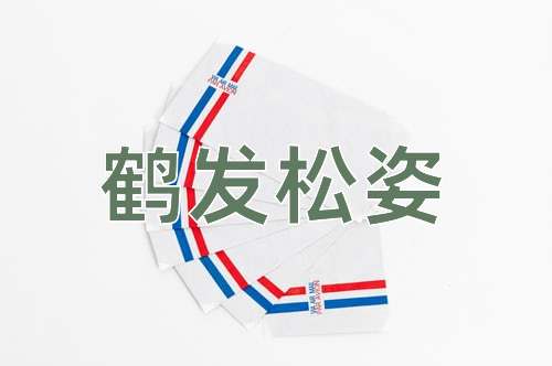 成语鹤发松姿