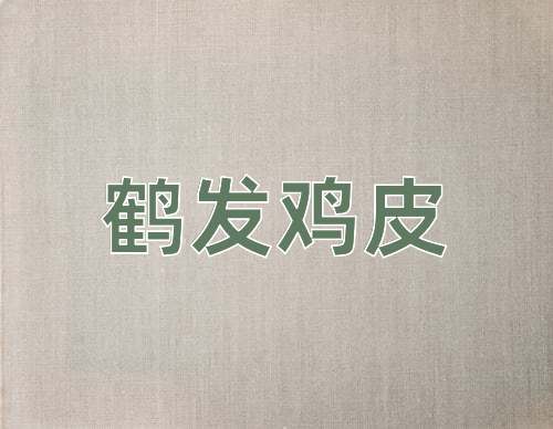 成语鹤发鸡皮