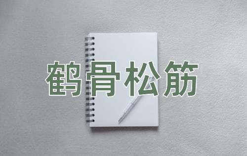 成语鹤骨松筋