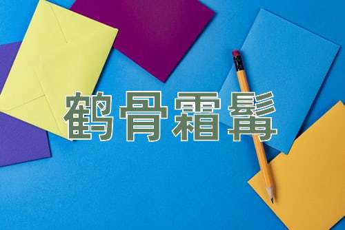 成语鹤骨霜髯
