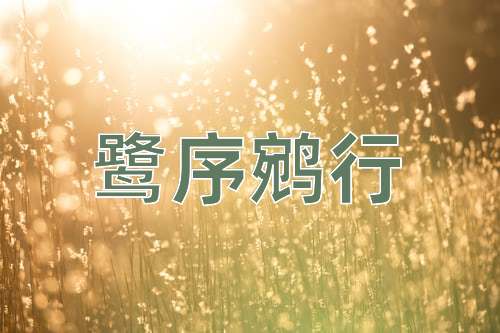 成语鹭序鹓行