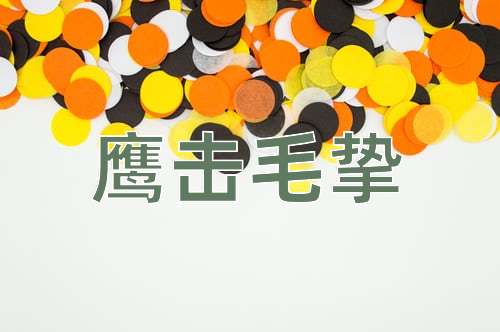成语鹰击毛挚