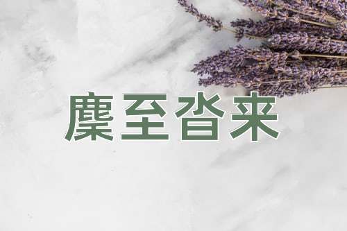成语麇至沓来