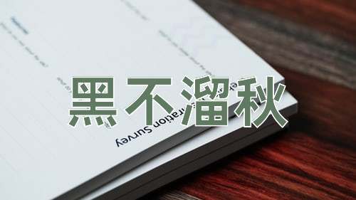 成语黑不溜秋