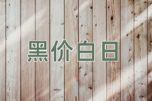 成语黑价白日