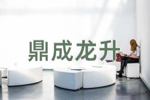 成语鼎成龙升