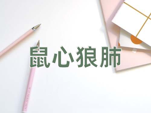 成语鼠心狼肺