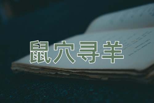 成语鼠穴寻羊