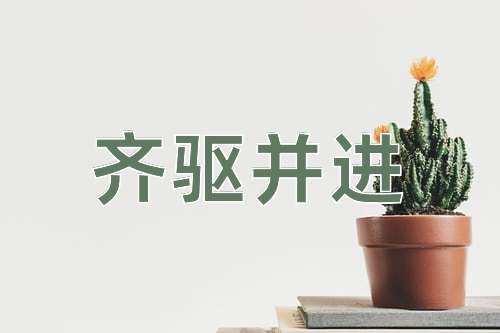 成语齐驱并进