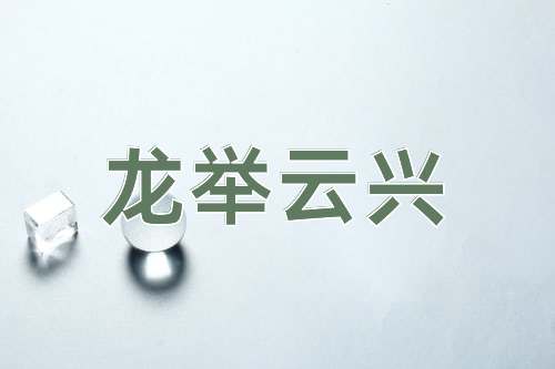 成语龙举云兴
