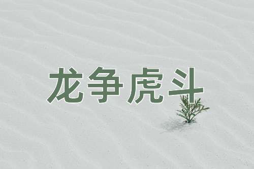 成语龙争虎斗